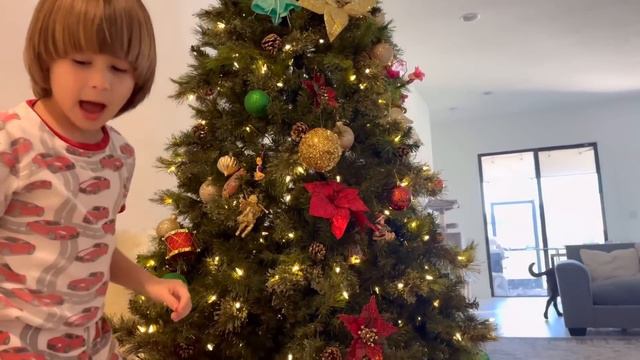 США Влог Наряжаем Ёлку по-новому Как в фильме «Один дома» Большая семья Big big family in the USA смотреть онлайн
