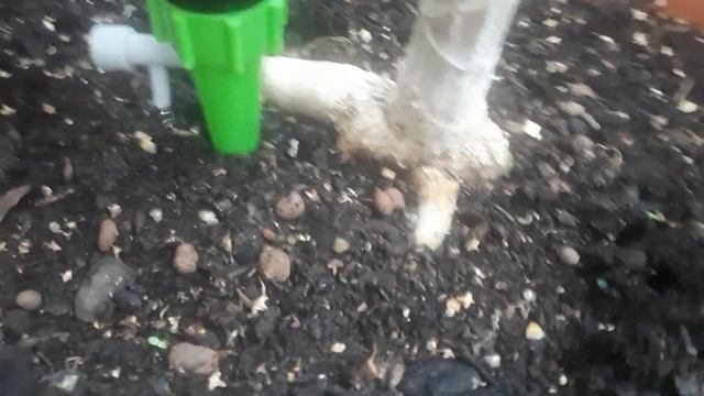 Капельный полив с алиэкспресса смотреть онлайн