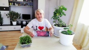 Описание сорта "Сызранская пипочка-Плясуновой"