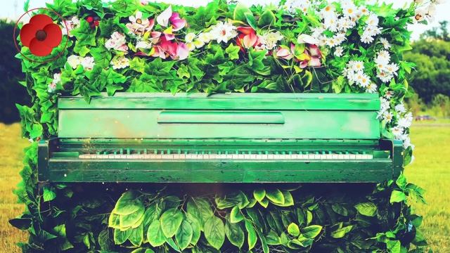 Piano Music For Stress Relief - Calming Music For Stress [2023] смотреть онлайн