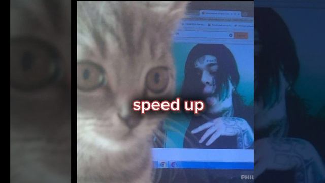 †kishlak я диско шар†