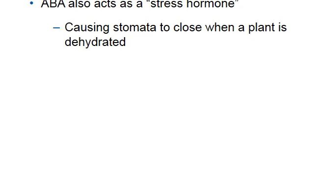 Chapter 33 plant control video смотреть онлайн