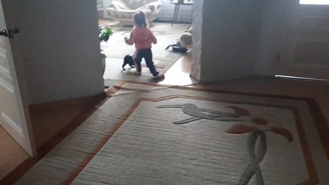 Выпрашиваю слово "мама". Кто такие "датасин" и "нинико"? Лера и Прошка. Влог в гостях | Аутизм смотреть онлайн