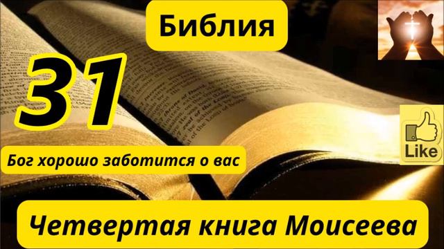 цифры 31 смотреть онлайн