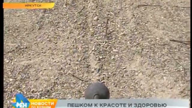 Лаборатория спорта: скандинавская ходьба смотреть онлайн