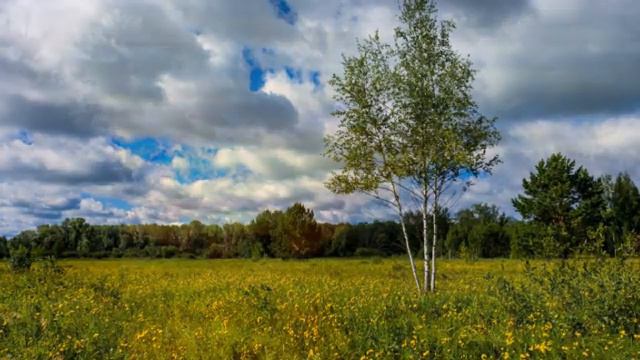 Туманы,туманы,верните мне маму. Песня до слез.