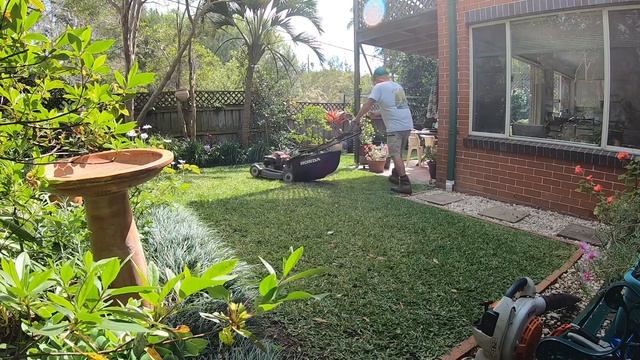 New Lawn Mowing job with my Honda Mower Stihl Trimmer and Leaf Blower смотреть онлайн