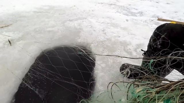 Рыбалка на Сети! Немного Хитрости и Секрета! Отличный Улов! Проверка сетей! смотреть онлайн