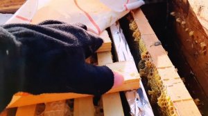 Зимовка пчел. Вентиляция и утепление улья зимой.