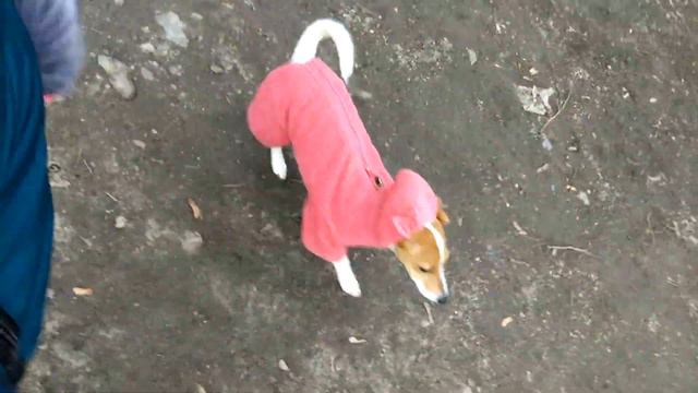 Прогулки,на территории школы в которой училась смотреть онлайн