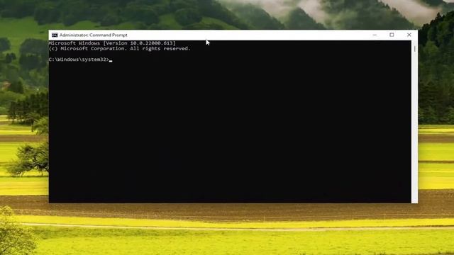 Sorry! An Error Was Encountered While Processing Your Request: Steam Artwork Bug Fix смотреть онлайн