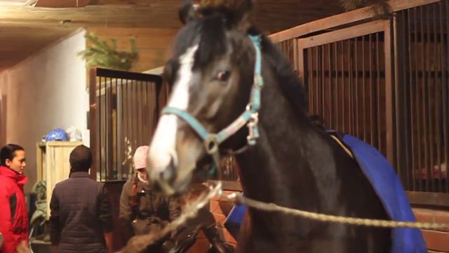 MVI 6772 смотреть онлайн