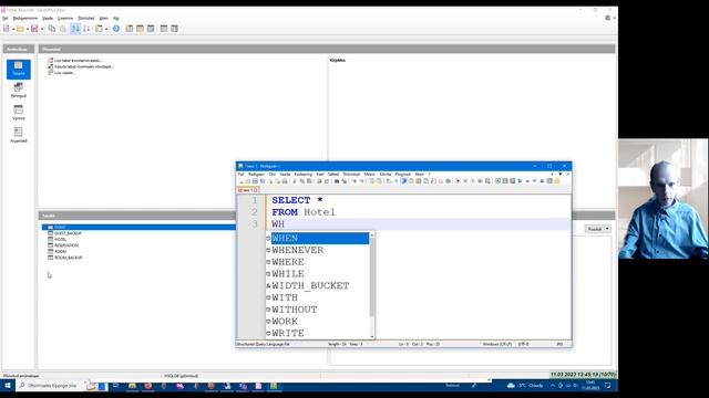 How to use LibreOffice Base to execute SQL statements? смотреть онлайн