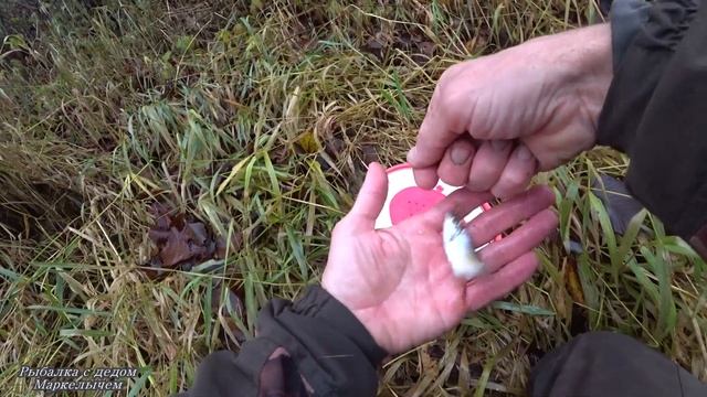 Шанс поймать НАЛИМА. Рыбалка на живца на ОКЕ. Простые донки в ноябре. смотреть онлайн