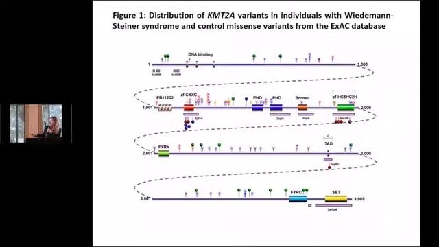 Session 7 - WSS Conference 2017 - What is Wiedemann-Steiner Syndrome (WSS)? - part 2 of 2 смотреть онлайн
