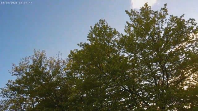 Auf dem Balkon sind die Blumen gepflanzt.. 19.05.2021. (Цветы на балконе посажены.) смотреть онлайн