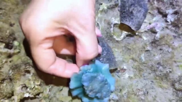 Шум моря и океанские обитали смотреть онлайн