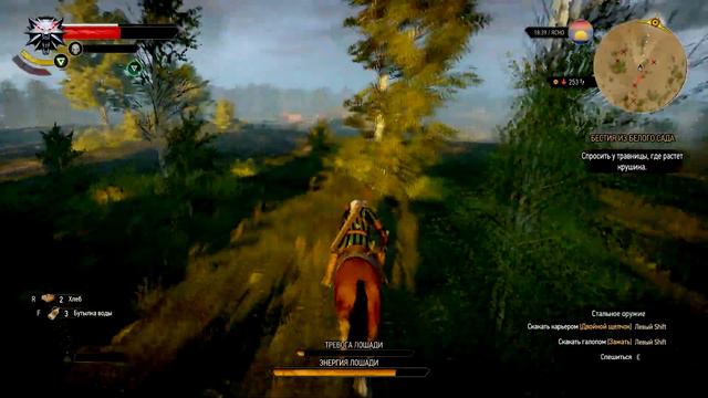 The Witcher 3: Wild Hunt - Травница #4 смотреть онлайн
