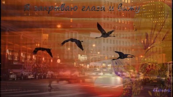 Я закрываю глаза и вижу