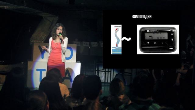 Олеся Широкова «Помнить шипиками: краткое руководство по пользованию мозгом» смотреть онлайн