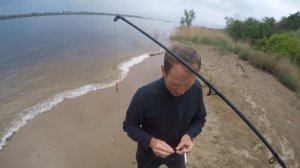 Голавлиный пост # 15:  Влог. Ловля Голавля Весной на Фидер на Корку Хлеба