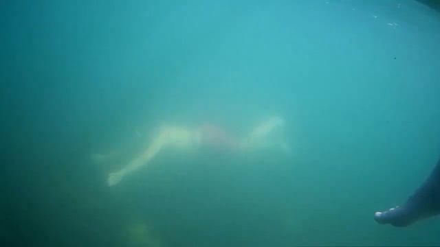 Море Владивосток Руссукий остров смотреть онлайн