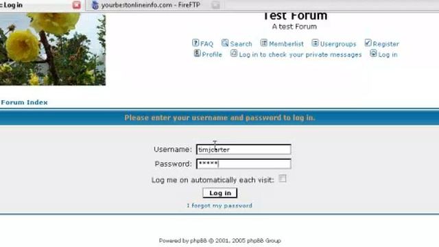 How To Create Sections And Allocate Managers In PHPBB Forum- Tutorial 7 смотреть онлайн