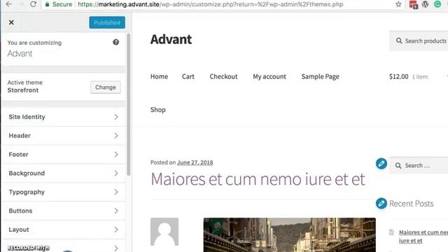 Adding Your Logo In WooCommerce and WordPress I Advant Interactive WooCommerce Insights смотреть онлайн