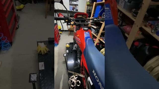 Honda XL 600 R und Honda NX 650 Dominator | LeserBike-Video von Dirk смотреть онлайн