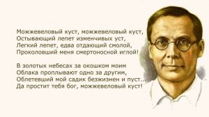 «Можжевеловый куст» Н. Заболоцкий. Анализ стихотворения