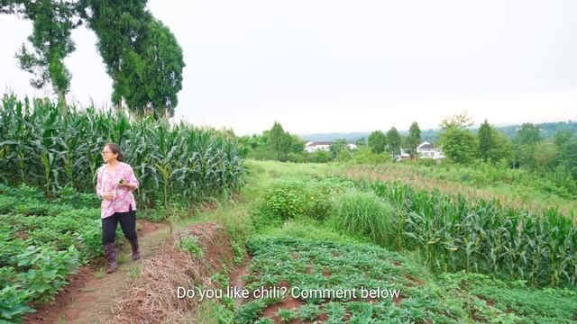 85-Year-Old Grandma Cooks Incredible Corn Dishes | Primitive Rural Life | Corn Harvest смотреть онлайн