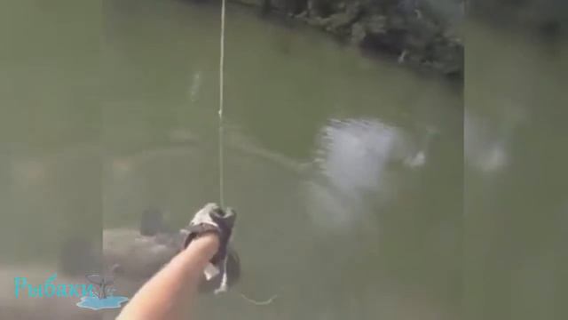 Необычные случаи на рыбалке! Подбор лучших моментов! смотреть онлайн