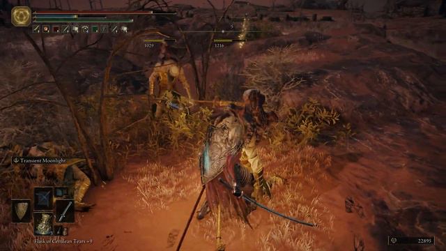 [EP56] Elden Ring 100% Walkthrough - Northwest Caelid - Minor Erdtree Catacombs смотреть онлайн