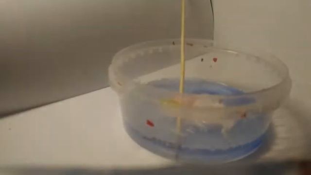 Рецепт слайма из канцелярского клея