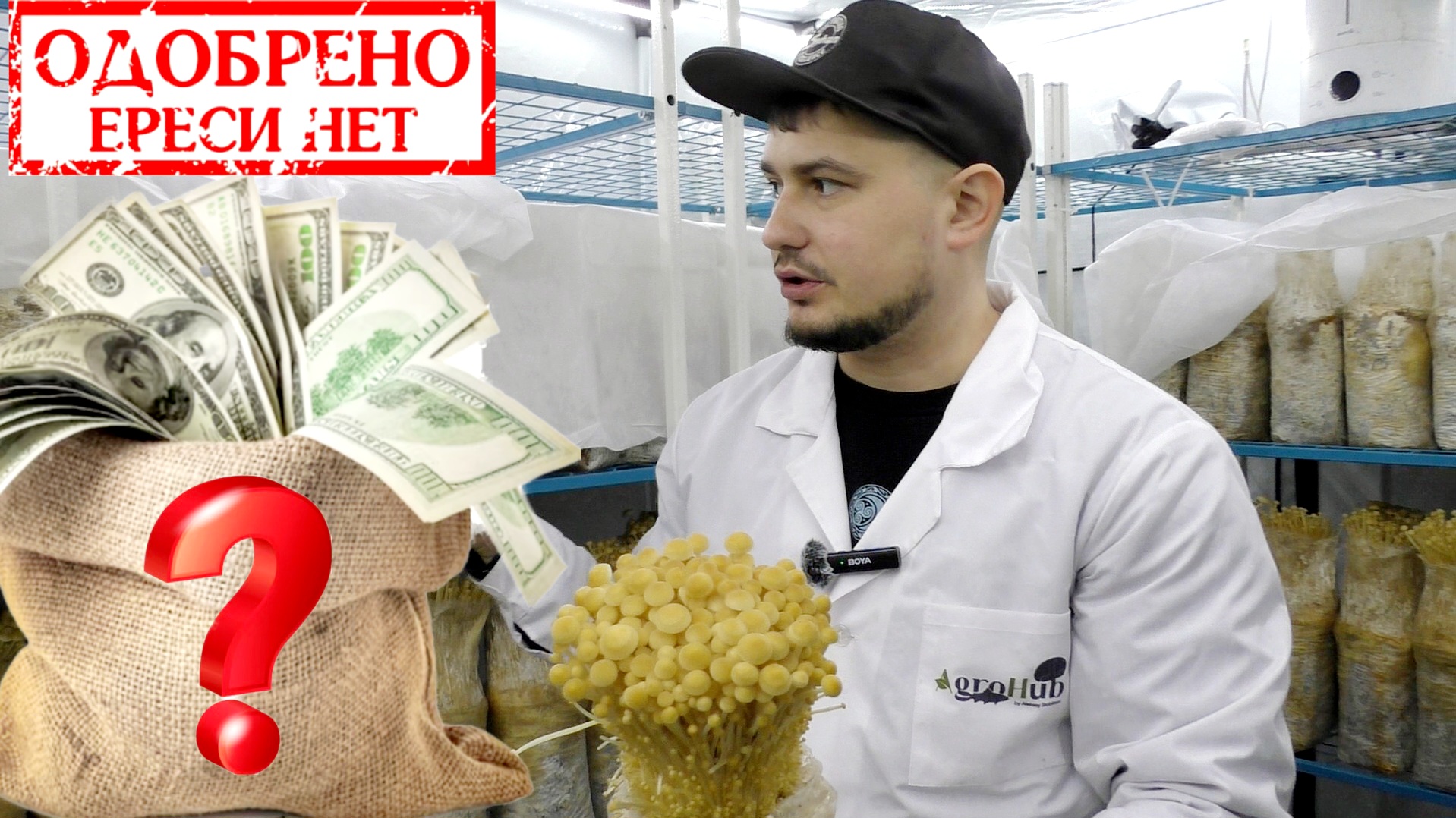 Как ЗАРАБОТАТЬ МИЛЛИОН НА ГРИБАХ?! БИЗНЕС С НУЛЯ! КАК ЗАПУСТИТЬ БИЗНЕС В ПРОСТОМ ГАРАЖЕ?! смотреть онлайн