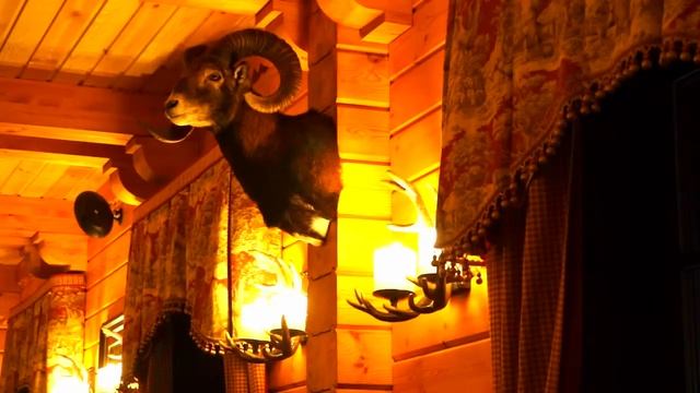 Ресторан "Красный бор". Бар. Restaurant Krasny Bor. Bar. смотреть онлайн