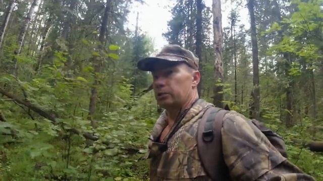 Открытие сезона тихой охоты первые белые грибы Куда исчезают рябчики соболь? Небольшая семья барсук смотреть онлайн