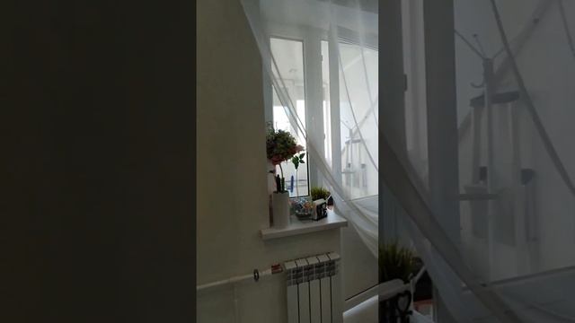 Продаю квартиру 40 кв.м. с современным ремонтом на Западном смотреть онлайн