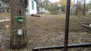 Делаем электроизгородь или «электропастух» своими руками