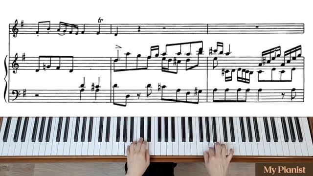 Pergolesi - Flute Concerto in G, 1st Mov: Piano Accompaniment [Moderate] смотреть онлайн