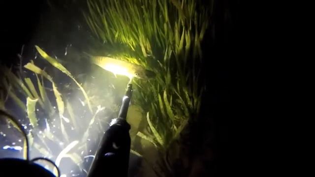 Ночная подводная охота смотреть онлайн
