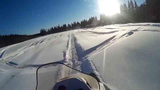 Тайга варяг сезон 2017-го смотреть онлайн