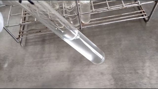 Enterococus pathogenecity, lab diagnosis and treatment смотреть онлайн