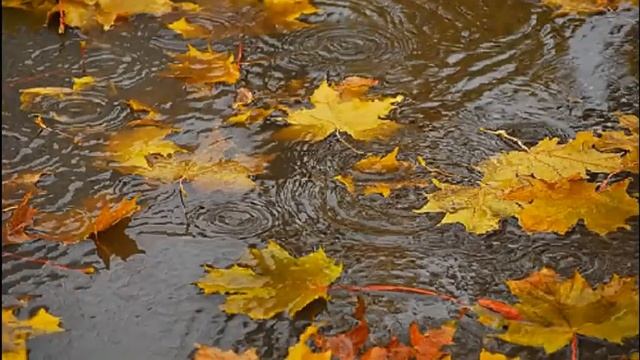 ВЕРНУЛАСЬ ОСЕНЬ смотреть онлайн