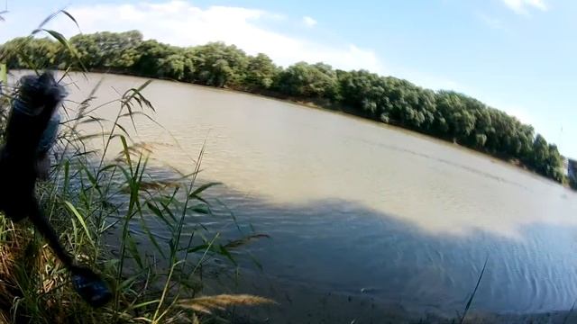 РЫБАЛКА НА ПОПЛАВОК,НА РЕКЕ КУБАНЬ смотреть онлайн