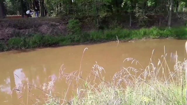 Орехово-Зуево. Возле ресторана "Охотник" смотреть онлайн