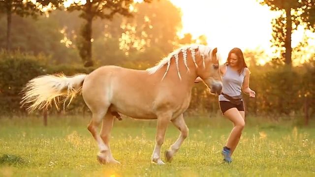 [Golden Sunset] Shilas & Eva - Fantastic Evening! смотреть онлайн