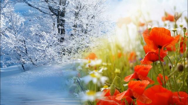 Денис Вилейчик. Лето и зима смотреть онлайн