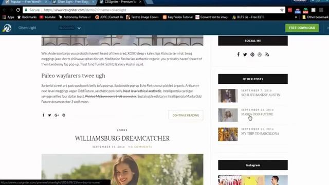 Olsen Light Free WordPress Theme Review With Download Link смотреть онлайн