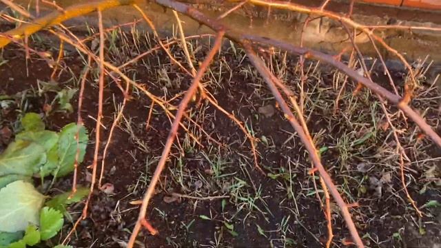 Полезный совет от ведьмы . смотреть онлайн